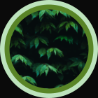 Webisers Guild